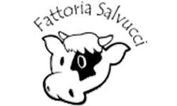 Logo-Salvucci