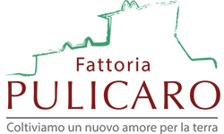 logo-Pulicaro